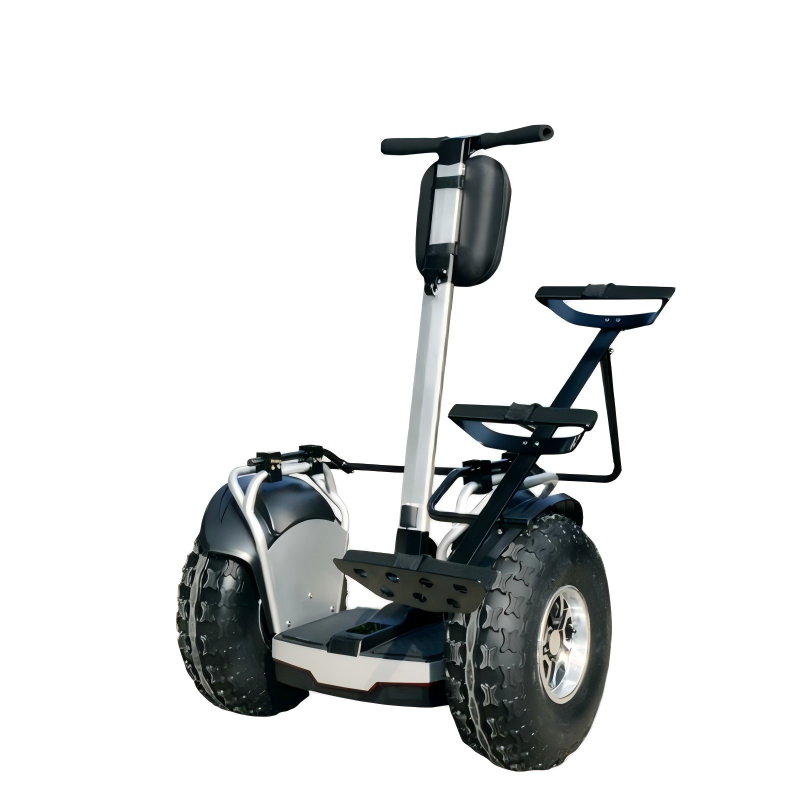 ESWING ES6/ES6+ golf ball self-balancing electric scooter