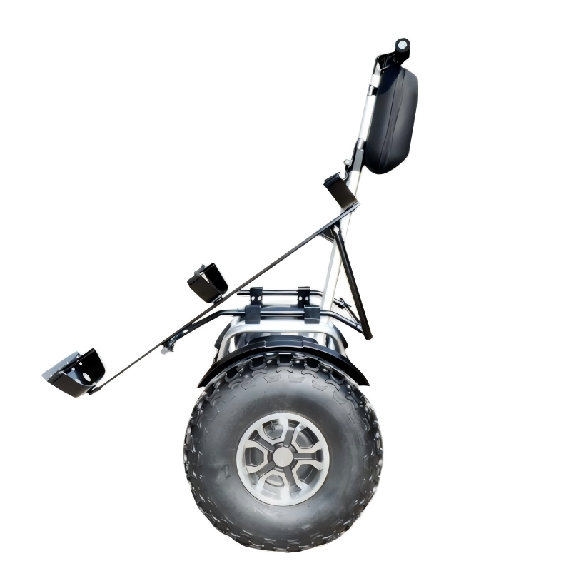 ESWING ES6/ES6+ golf ball self-balancing electric scooter