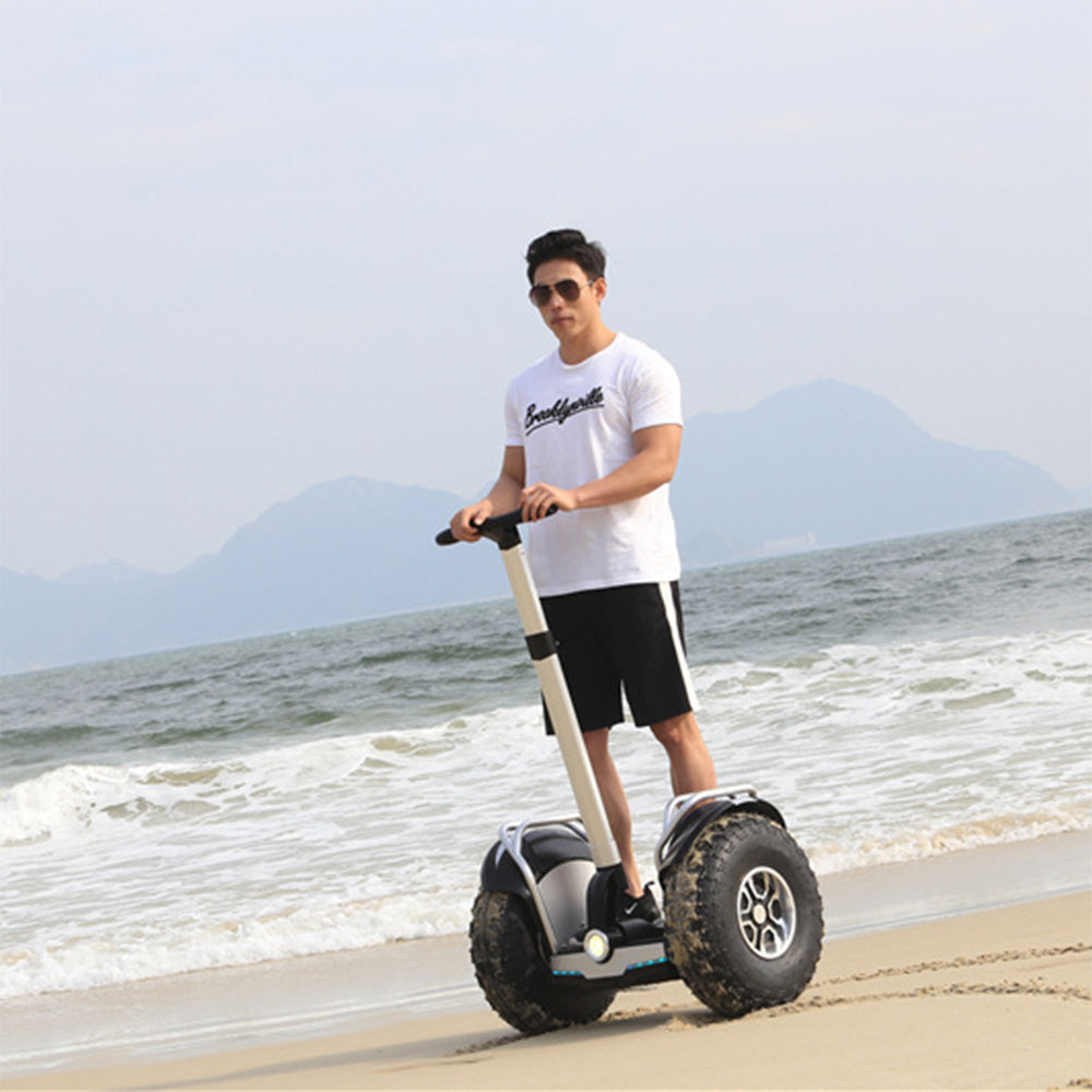 ESWING ES6/ES6+ Electric Self-Balancing Scooter