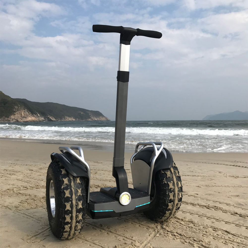ESWING ES6/ES6+ Electric Self-Balancing Scooter