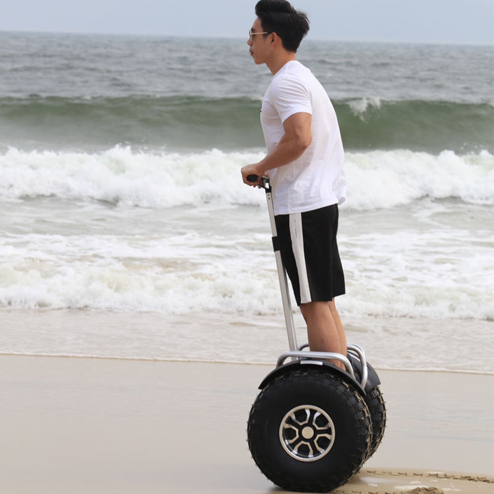 ESWING ES6/ES6+ Electric Self-Balancing Scooter