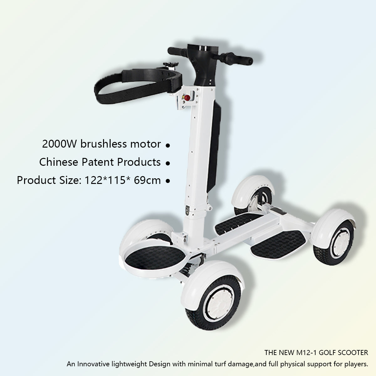 ESWING ES-M12-1 Golf Ball Electric Balance Cart（US/EU stock）