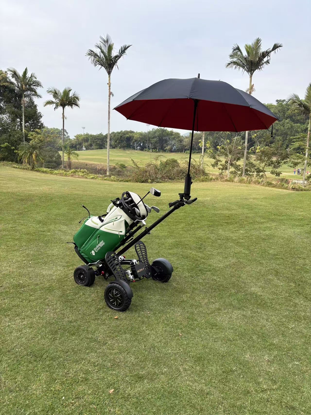 ESGOLF Electric Golf Trolley （US Stock）