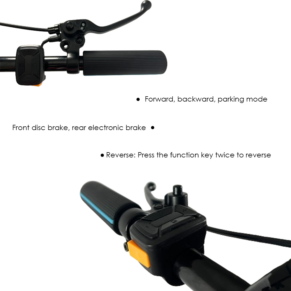 ESWING M12-3 Golf Electric Scooter US/EU stock
