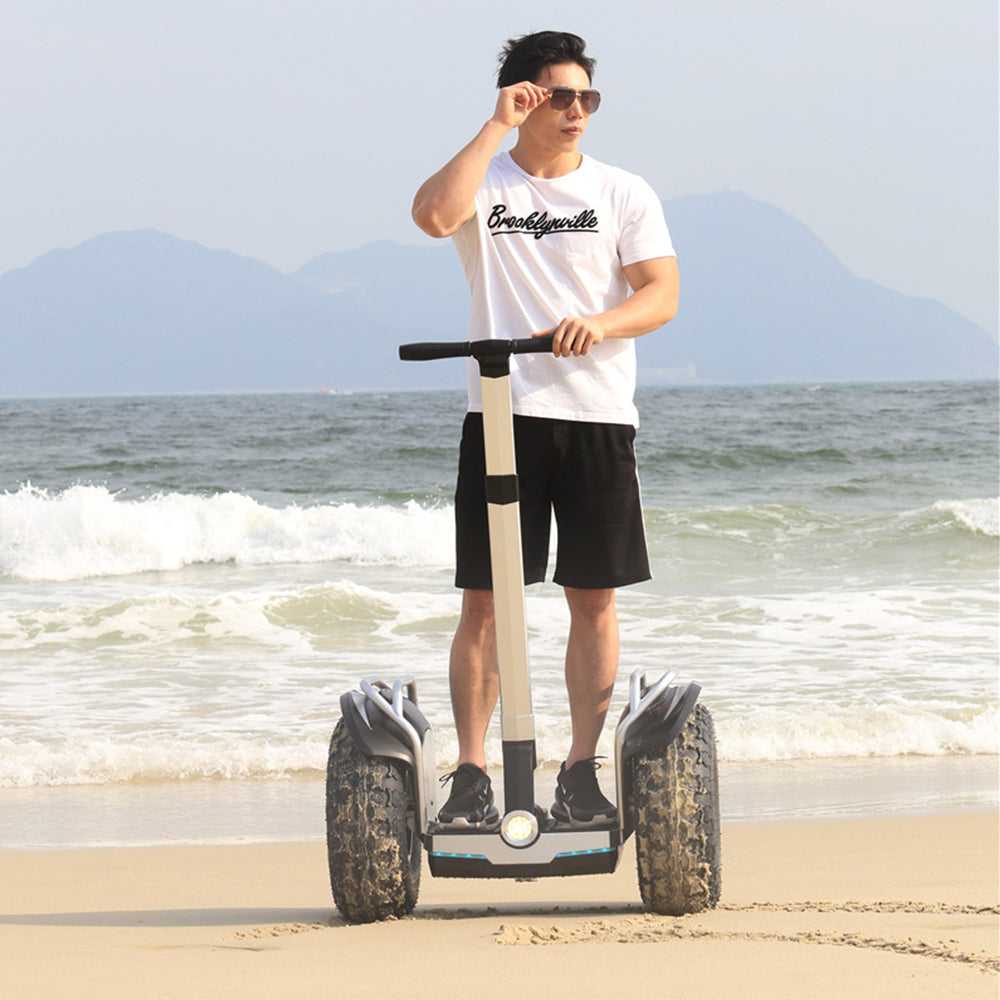 ESWING ES6/ES6+ Electric Self-Balancing Scooter