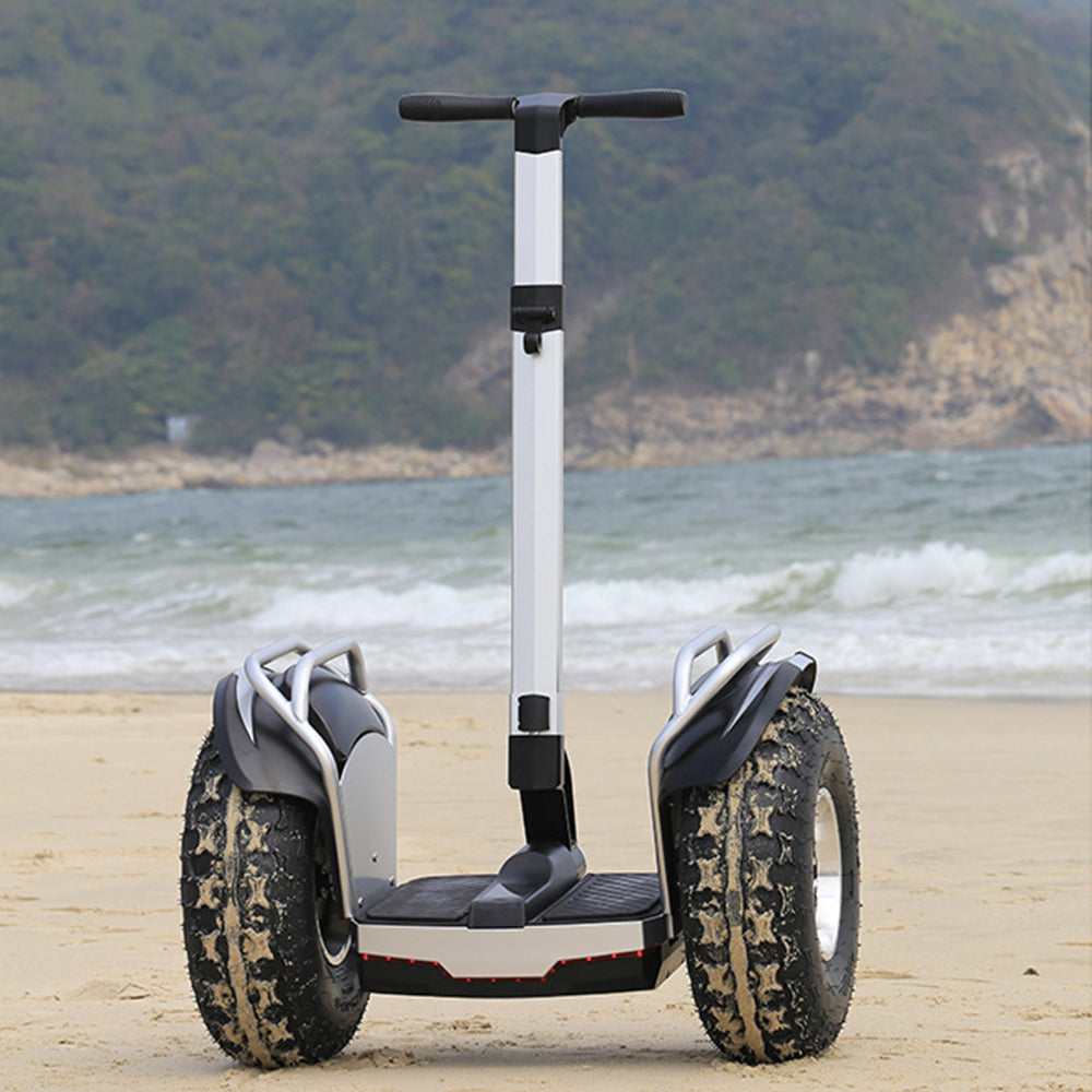 ESWING ES6/ES6+ Electric Self-Balancing Scooter