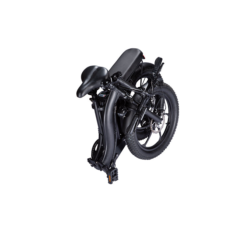 ESWING ESBike-09 Mountain Electric Bike