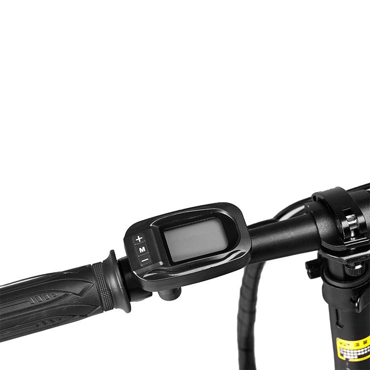 ESWING ESBike-09 Mountain Electric Bike