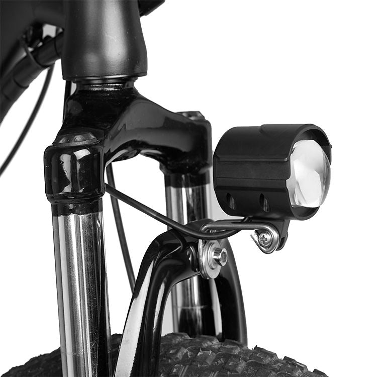 ESWING ESBike-09 Mountain Electric Bike