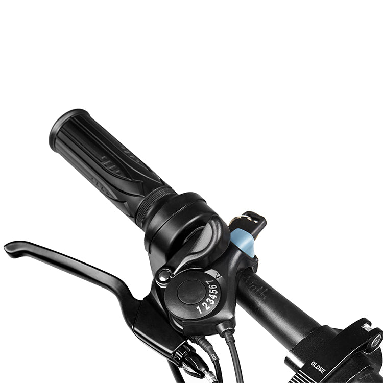 ESWING ESBike-09 Mountain Electric Bike