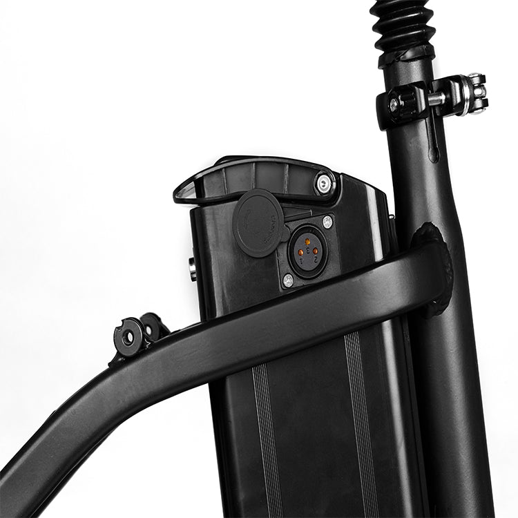 ESWING ESBike-09 Mountain Electric Bike