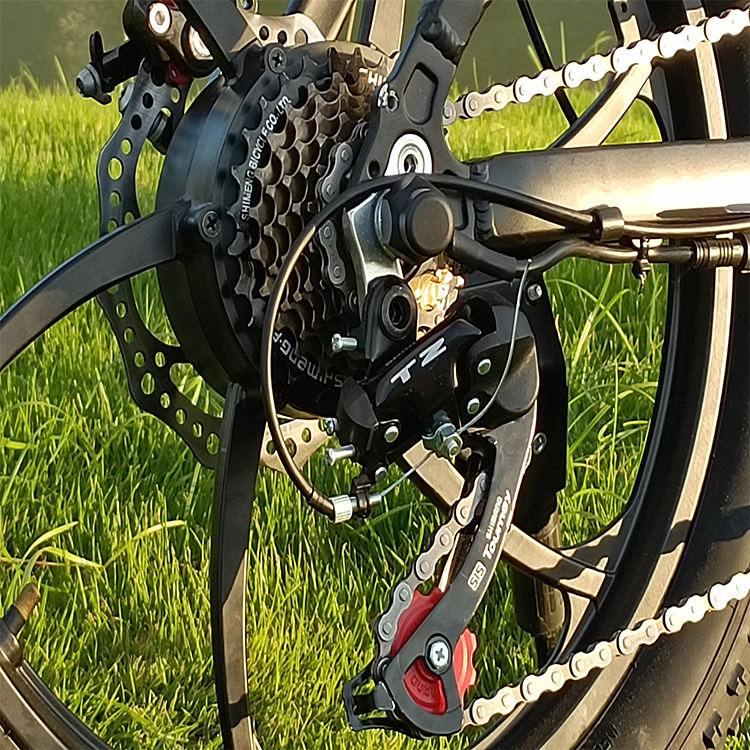 ESWING ESBike-09 Mountain Electric Bike