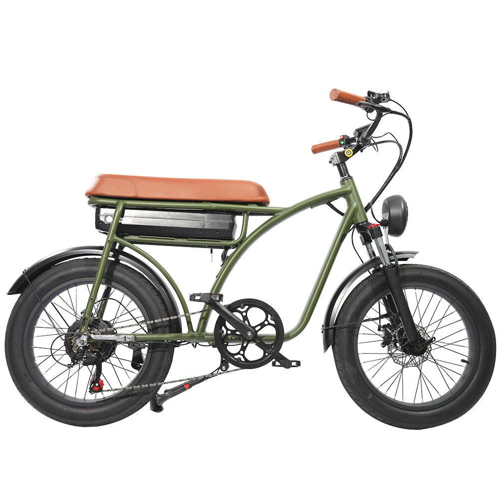 ESWING ESBike-01 Mountain Electric Bike