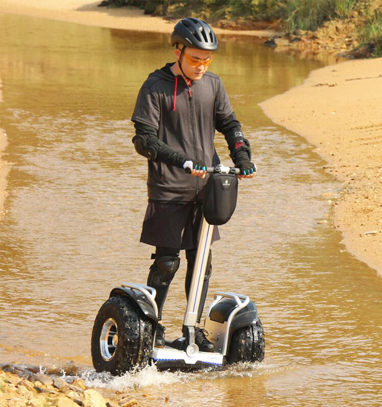 ESWING ES6S Electric Self-Balancing Bike