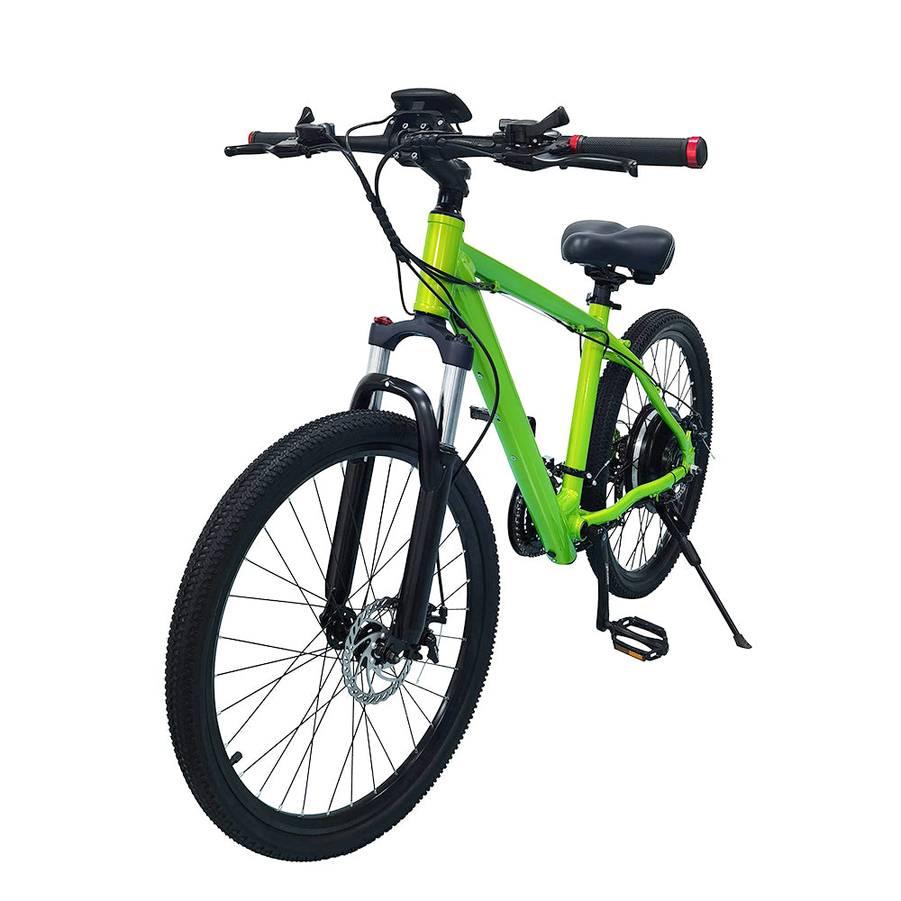 ESWING ESBike-04 Mountain Electric Bike