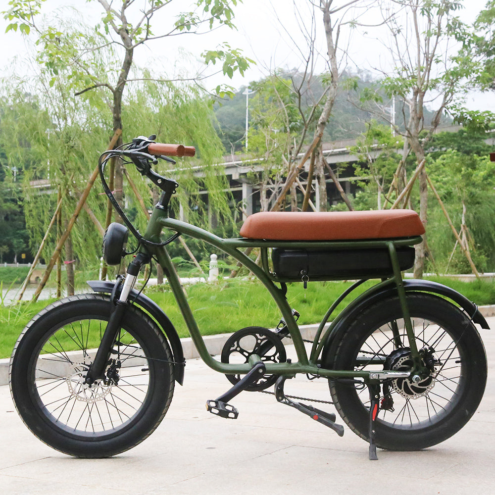 ESWING ESBike-01 Mountain Electric Bike