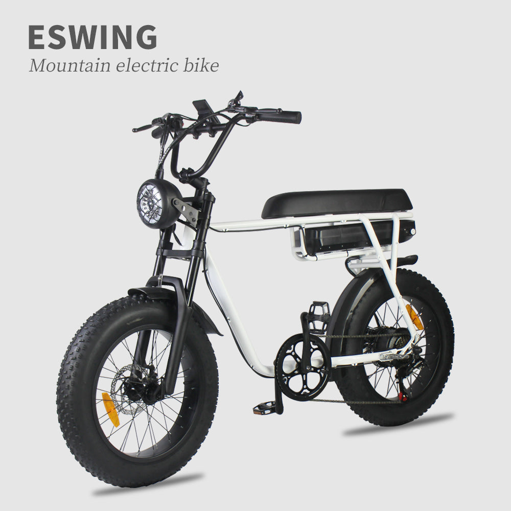 ESWING ESBike-02 Mountain Electric Bike