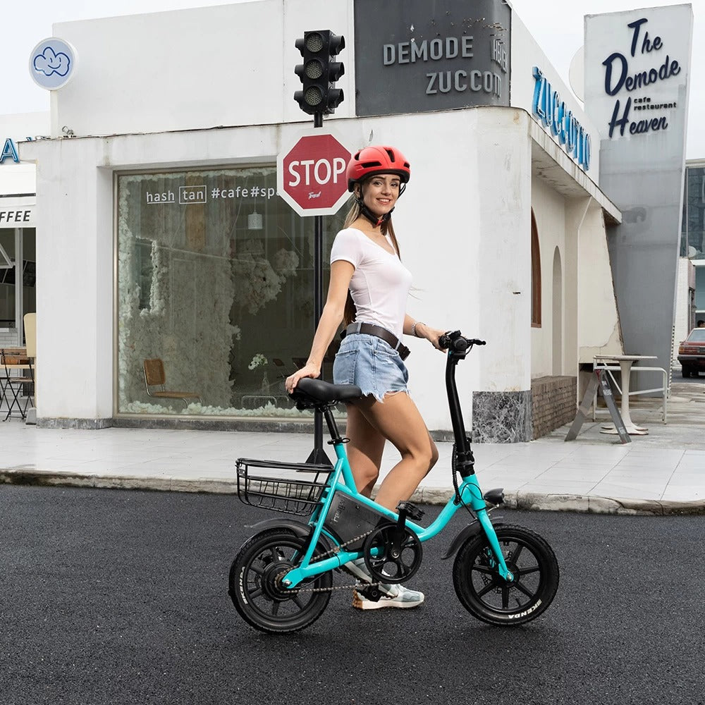 ESWING ESBike-08 Mountain Electric Bike