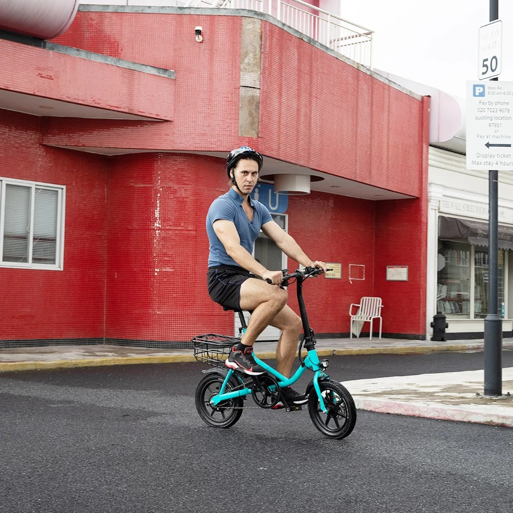 ESWING ESBike-08 Mountain Electric Bike