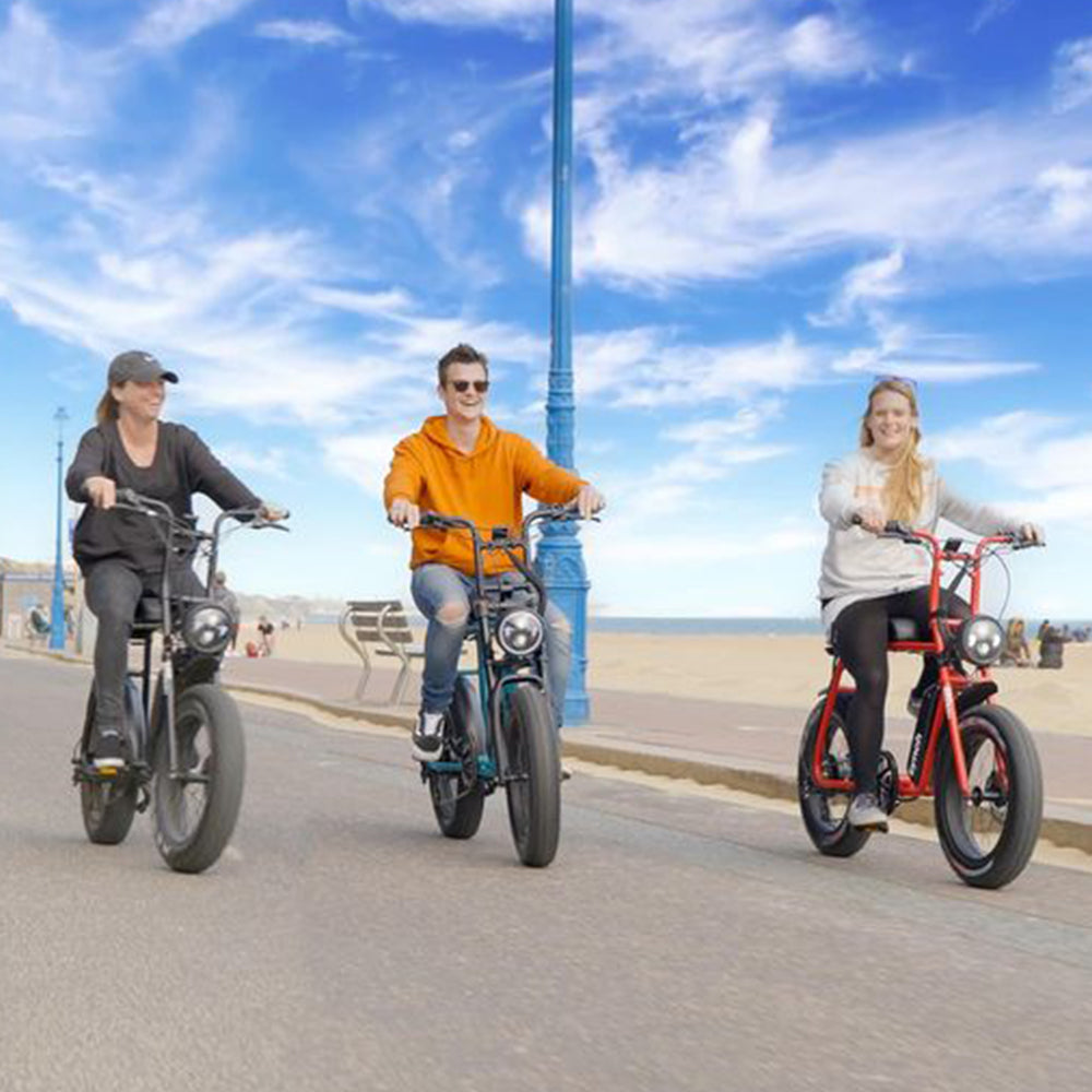 ESWING ESBike-02 Mountain Electric Bike
