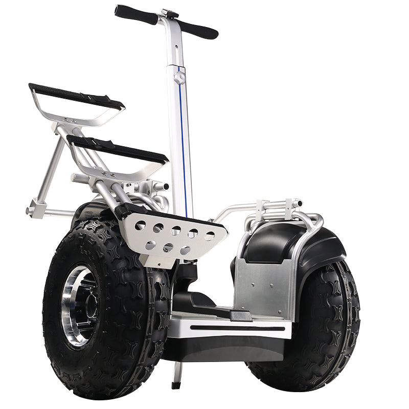 ESWING ES6/ES6+ golf ball self-balancing electric scooter